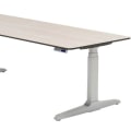 Rectangular Standing Desks: Design and Features